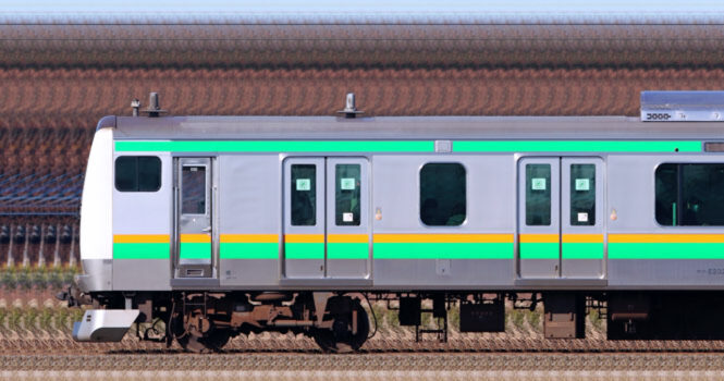 国府津車両センターE233系E02編成＋E231系S-07編成海側